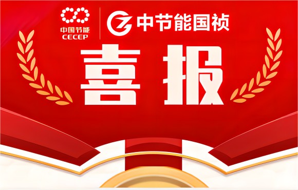 喜報！中節(jié)能國禎在省級職業(yè)技能競賽中斬獲多項佳績